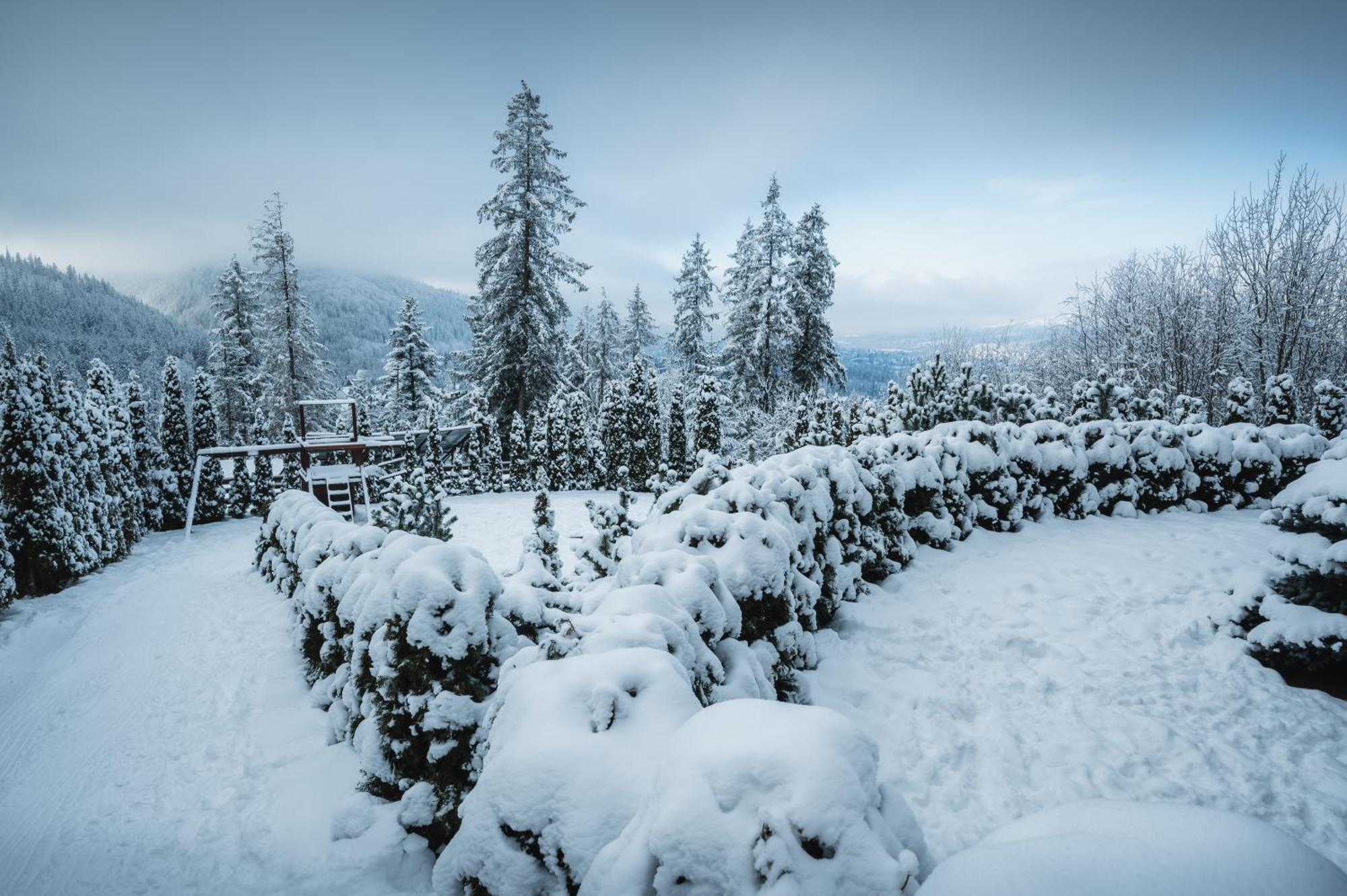 Visitzakopane - Janosik Apartment المظهر الخارجي الصورة