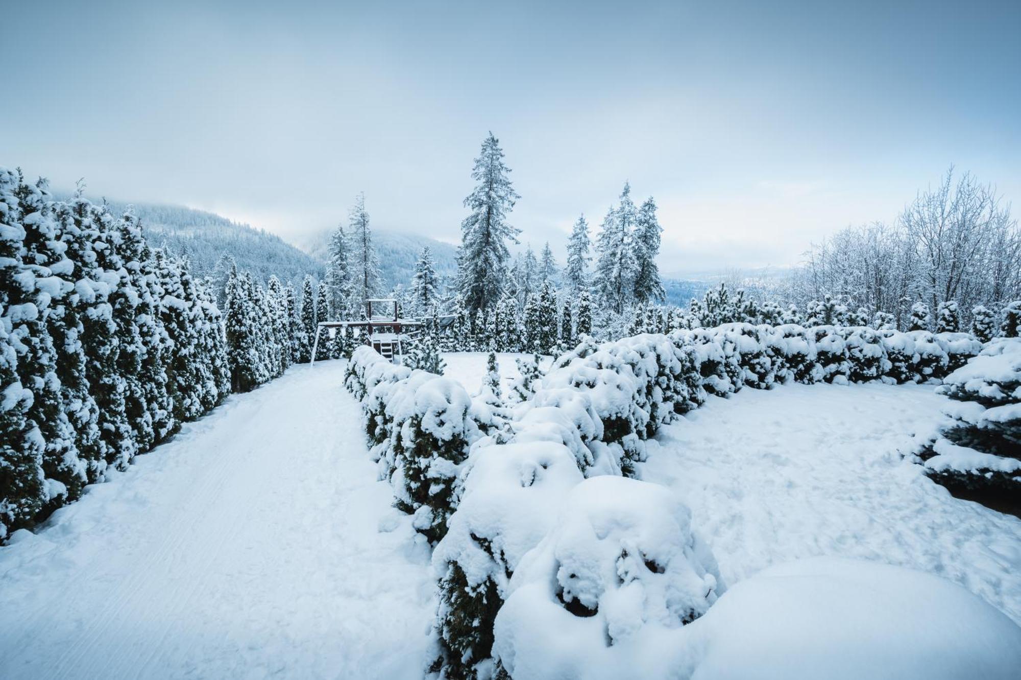Visitzakopane - Janosik Apartment المظهر الخارجي الصورة